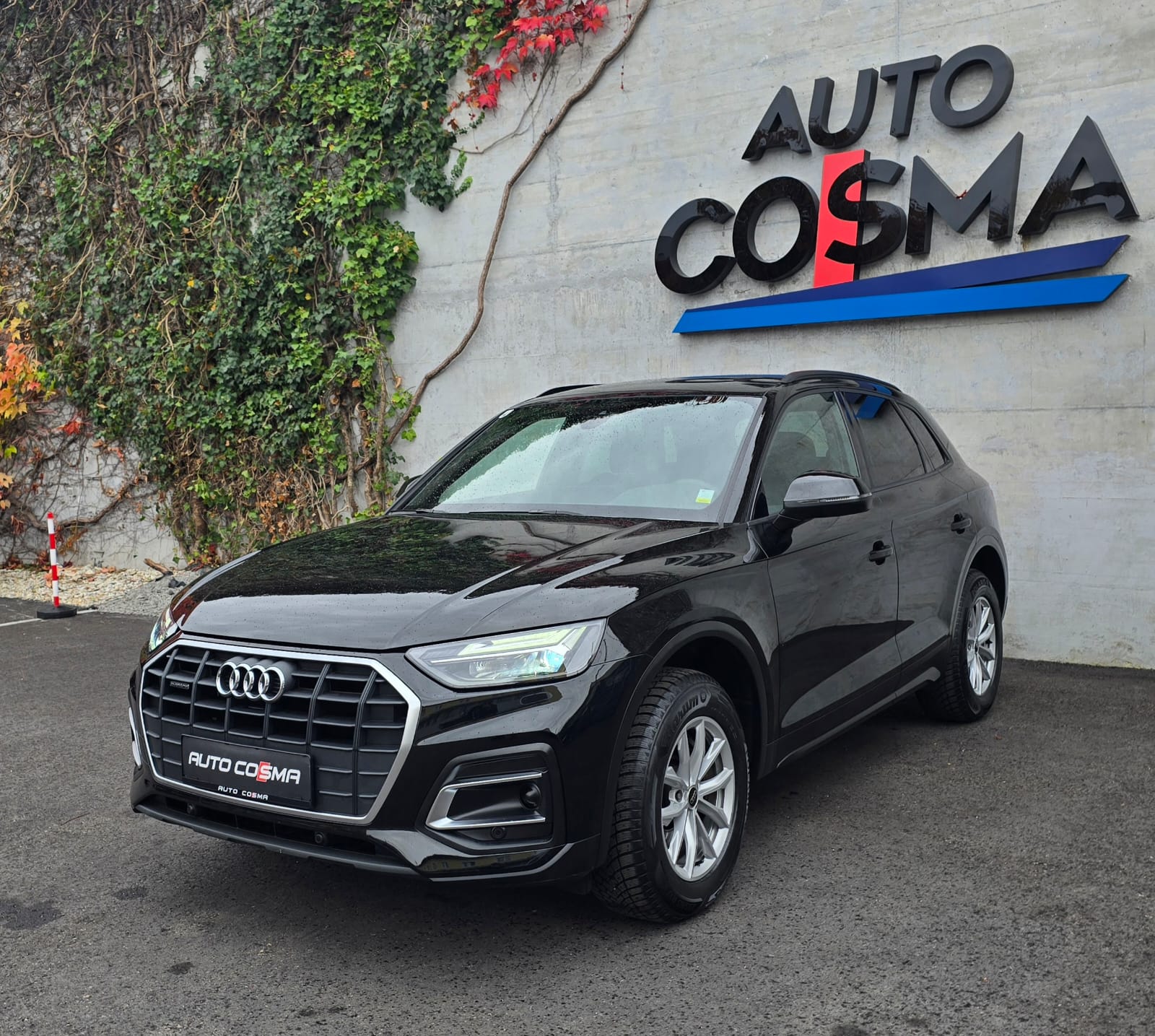 Audi Q5 50 TDI quattro intense tiptronic