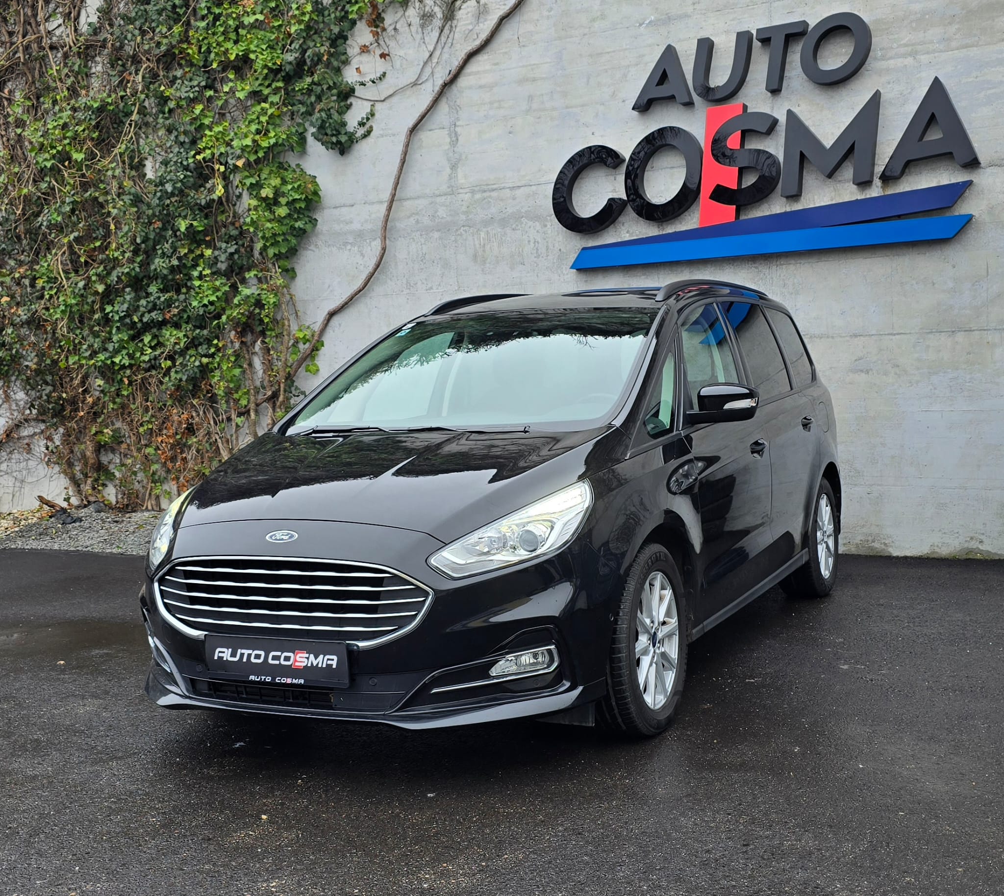 Ford Galaxy 2,0 EcoBlue SCR Trend /KAMERA/ 7 SITZER/